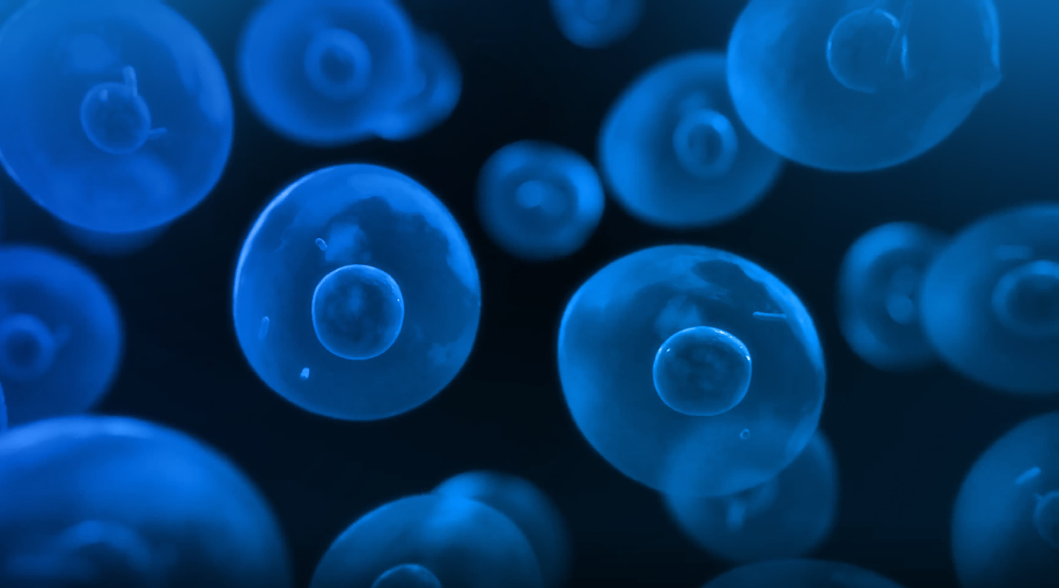 Single Cell & Spatial