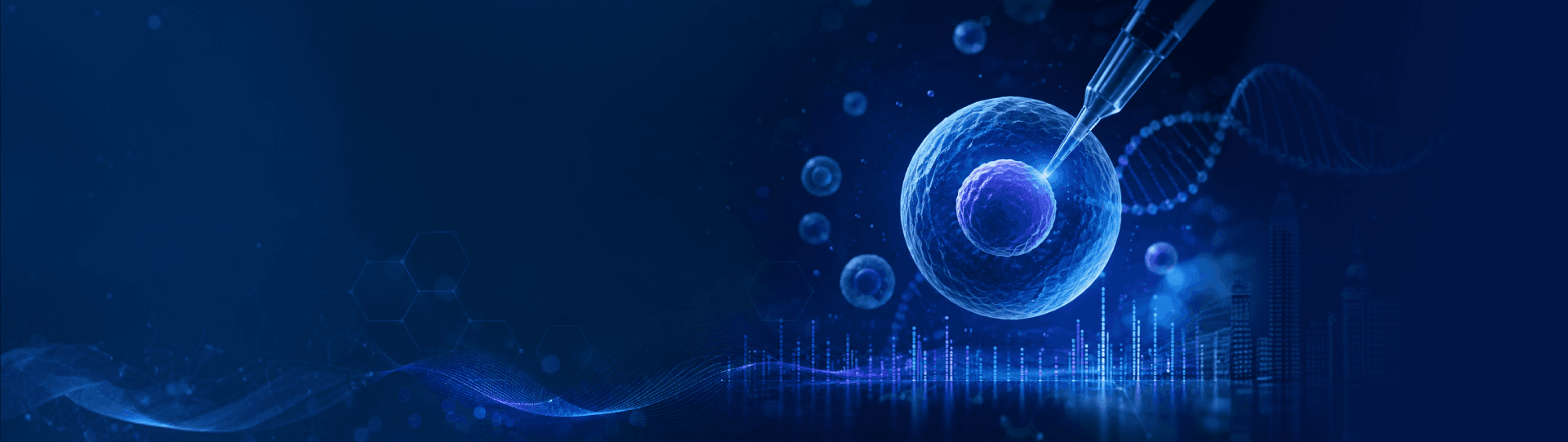 banner laptop bg