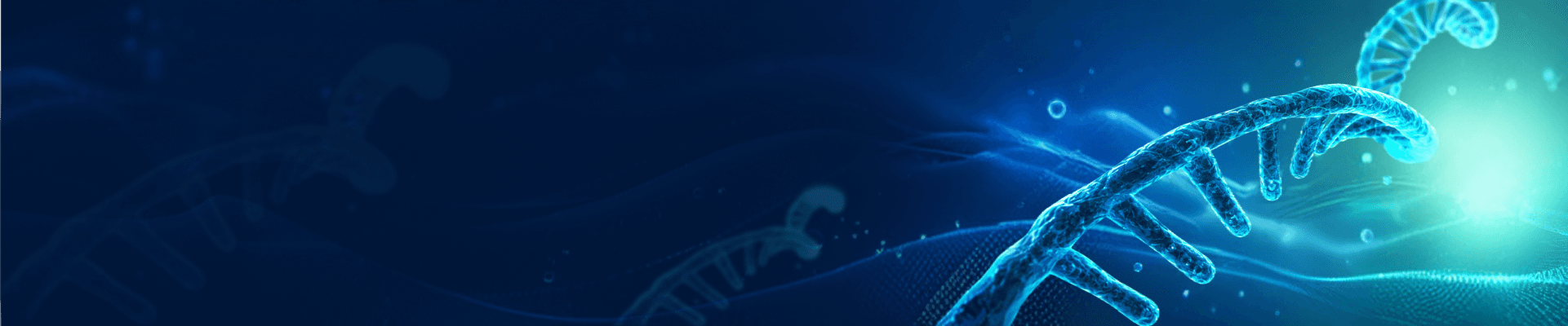 banner laptop bg