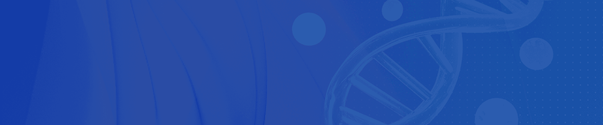 banner laptop bg