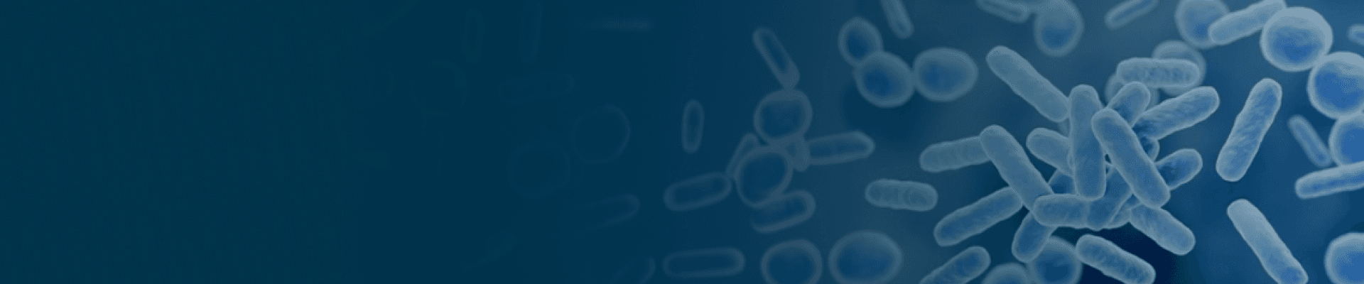 banner laptop bg