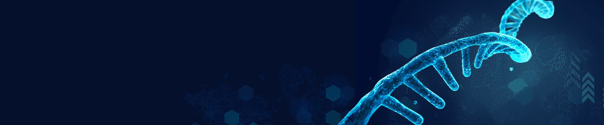 banner laptop bg