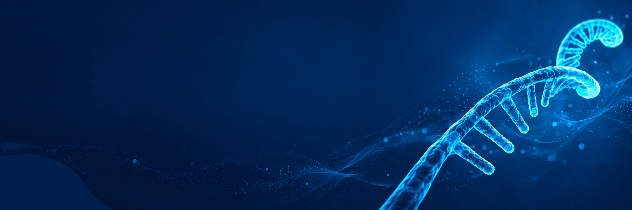banner laptop bg